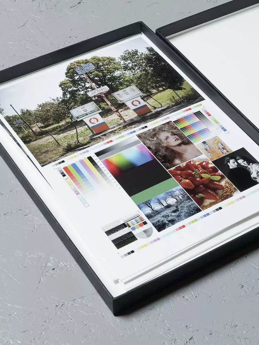 le PORTFOLIO pigmentaire