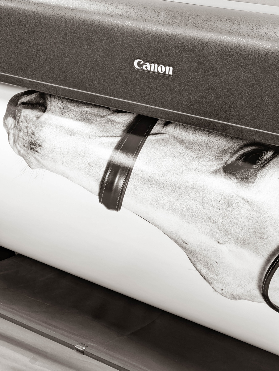 Stage impression & séjour en bourgogne