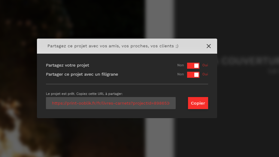 Activation du filigrane dans les options de partage