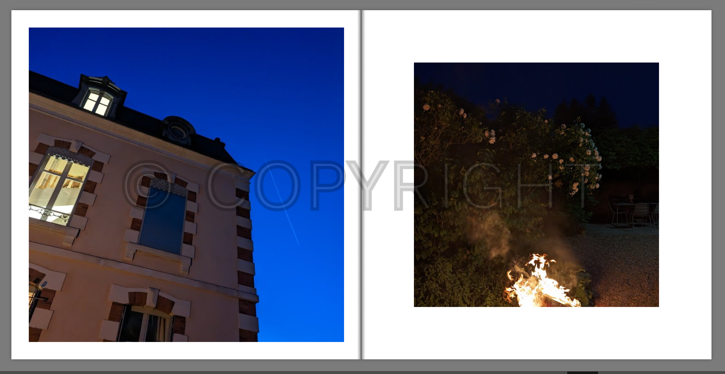 Aperçu des pages avec filigrane copyright